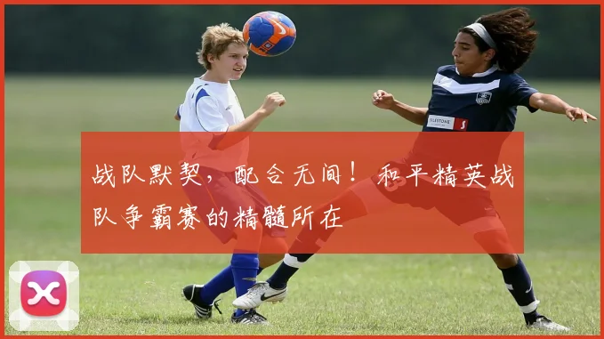 战队默契，配合无间！和平精英战队争霸赛的精髓所在