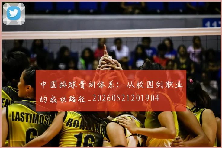 中国排球青训体系：从校园到职业的成功路径_20260521201904